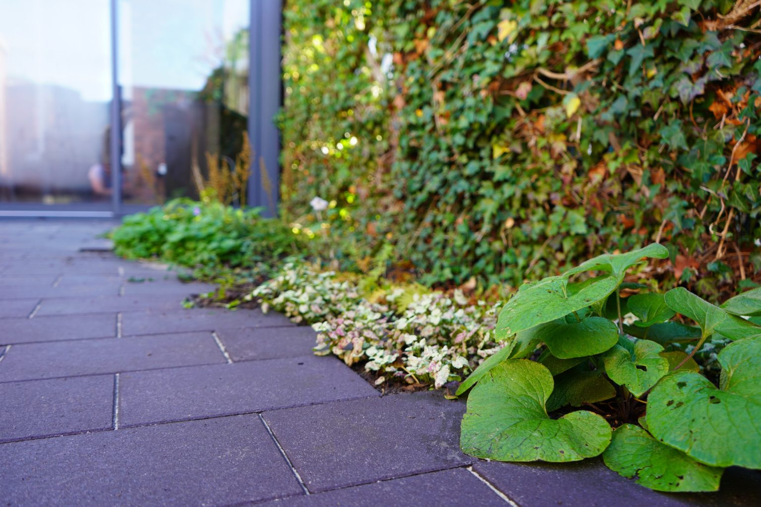 Schaduwrijke-border-met-passende-beplanting