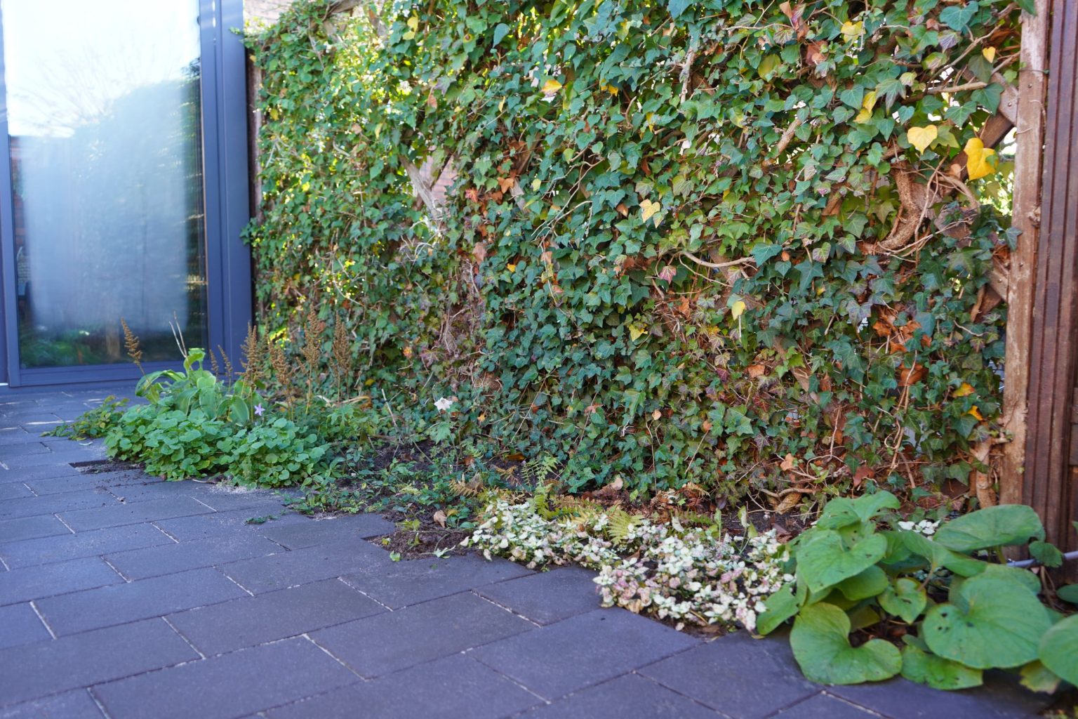 Schaduwrijke-border-met-passende-beplanting-2
